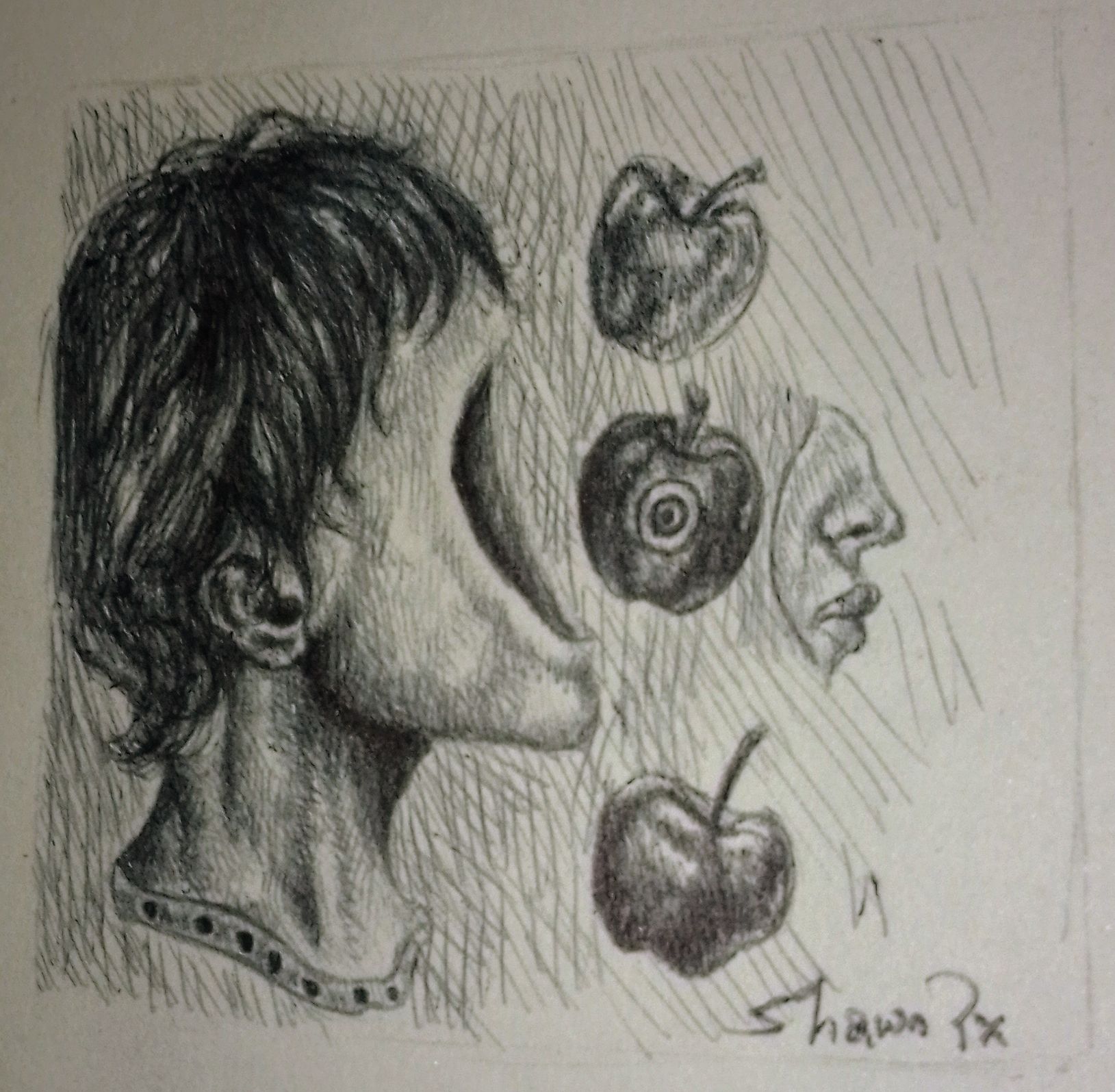 ILLUSTRATIVE SKETCH; THE APPLE
